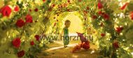 Hape A Kis Herceg - Rózsakert Puzzle